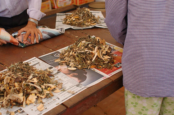 DELTA DEL MEKONG - Ambulatorio medico in un villaggio nei pressi di Cai Rang: le erbe mediche 