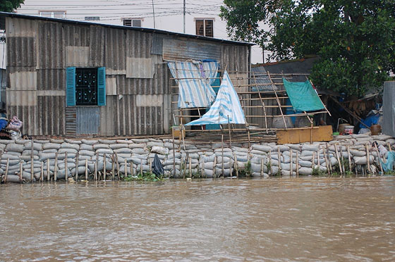 DELTA DEL MEKONG - Ritorno a Cai Rang: un tipico sistema costruttivo per arginare il fiume