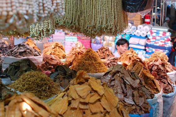 HO CHI MINH CITY - Funghi e vegetali essiccati al mercato coperto di Binh Tay a Cholon