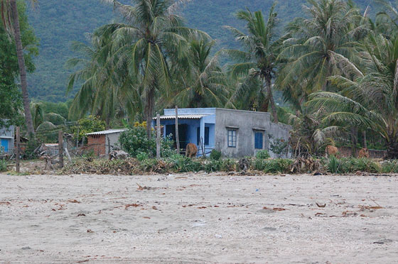 JUNGLE BEACH - Una tipica casetta 