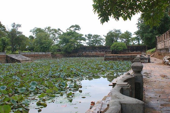 HUE' - Ancora lo stagno nei pressi della Biblioteca Reale