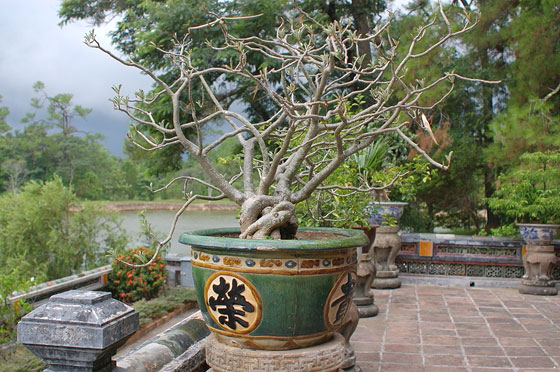 TOMBA DI MINH MANG - Bellissimi vasi sulla terrazza del Padiglione Minh Lau