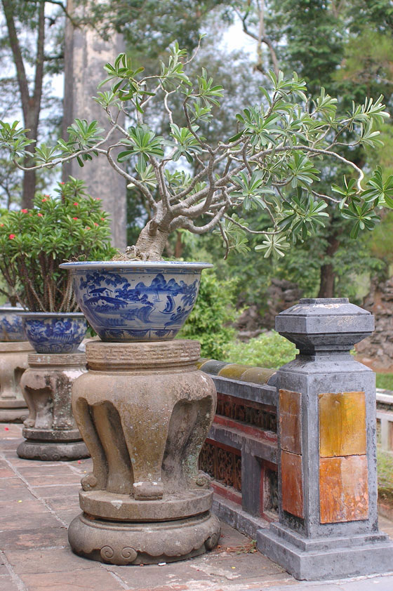 DINTORNI DI HUE'  - Tomba di Minh Mang: bonsai sulla terrazza del Padiglione Minh Lau 