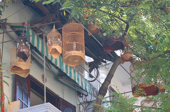 HANOI - Nei pressi della Porta Cua O Quan Chuong: le gabbiette per uccelli in bambu', tanto comuni in Oriente