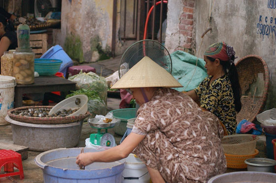 HANOI - Angolo del pesce al mercato di Pho Gia Ngu
