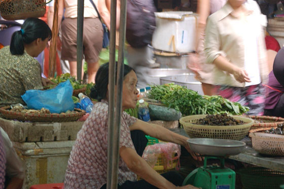 HANOI - Un'anziana ortolana al mercato di Pho Gia Ngu