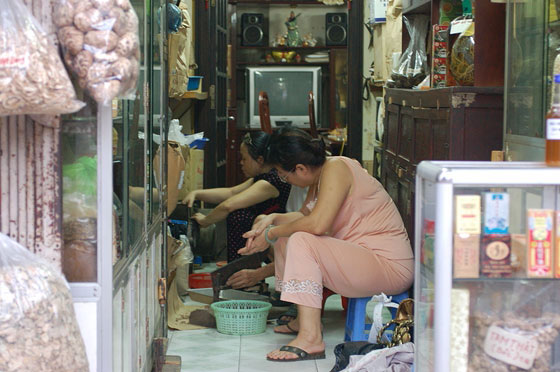 HANOI - Quartiere Vecchio: l'erborista