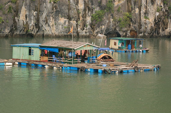 BAIA DI HALONG - Abitazioni marine nei pressi di Hang Sung Sot