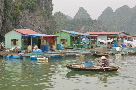 BAIA DI HALONG - Isola di Cat Ba