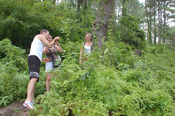 ISOLA DI CAT BA  - Trekking nel Parco Nazionale di Cat Ba: io e la coppia inglese 