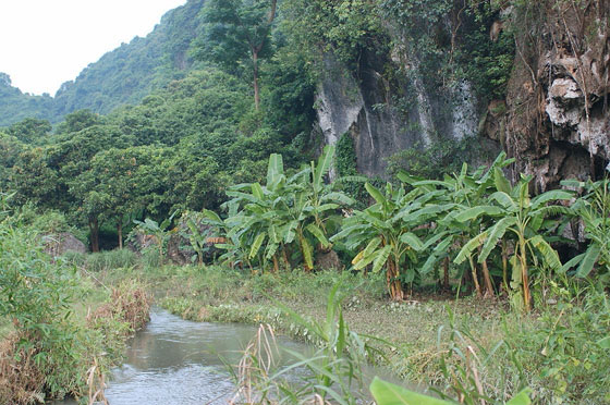 ISOLA DI CAT BA  - La nostra avventura/disavventura in Cat Ba