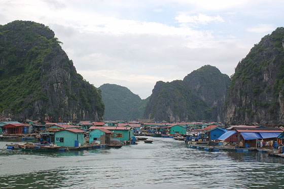 ISOLA DI CAT BA - Colorati villaggi di pescatori 