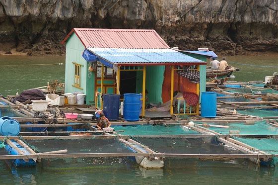BAIA DI HALONG - Una variopinta casetta 