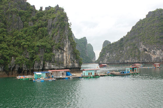 BAIA DI HALONG - Ancora piccoli insediamenti marini tra gli isolotti della baia