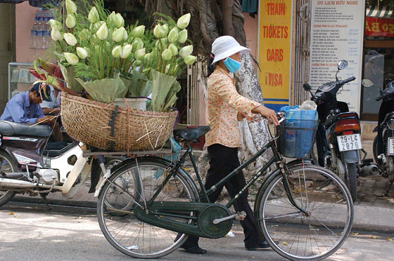 HANOI - Quartiere Vecchio: stesso soggetto, ci è proprio piaciuta!