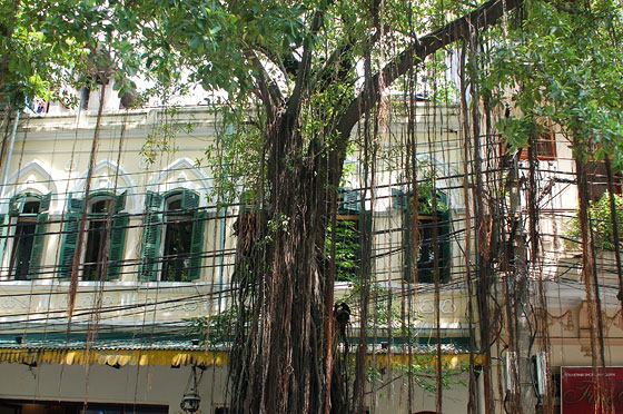 VIETNAM NORD-ORIENTALE - Hanoi, città di viali alberati, parchi e laghi