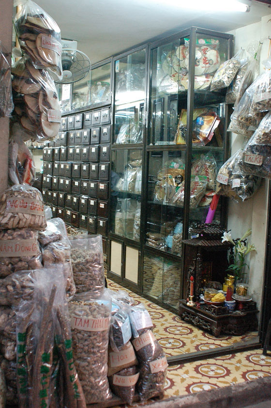 HANOI - Quartiere Vecchio: Erboristerie tradizionali in Pho Lan Ong