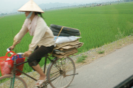 DINTORNI DI HANOI - Verso la Pagoda dei Profumi 