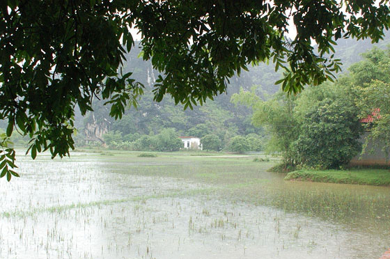 HOA LU - Le risaie oltre il Tempio Le Dai Hanh 