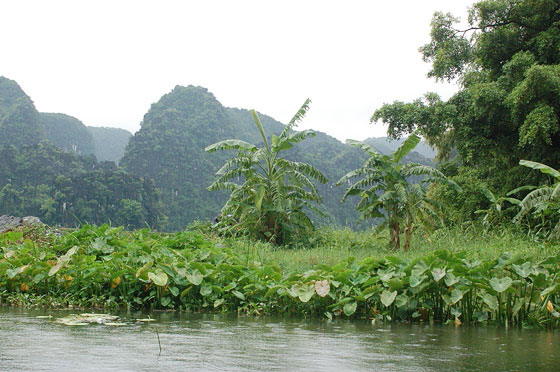 TAM COC - Sulla via del ritorno