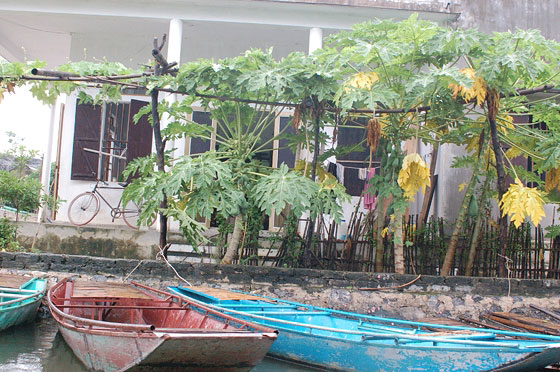 TAM COC - Barchette colorate