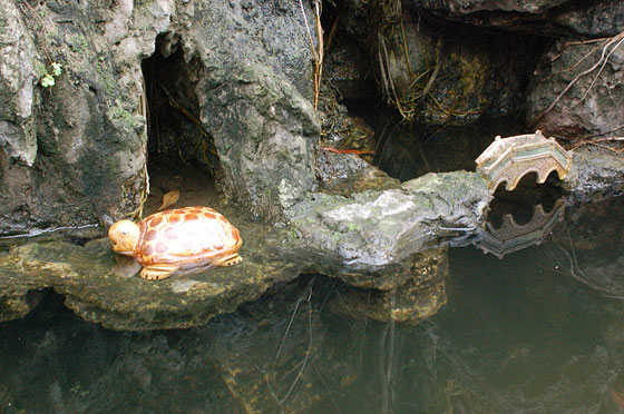 HANOI - Pagoda di Tran Quoc - Three gate Reception Area: sulla roccia la tartaruga rappresenta le colline
