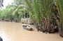 DELTA DEL MEKONG. La caratteristica vegetazione dei canali di Ben Tre 