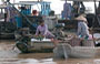DELTA DEL MEKONG. Mercato galleggiante di Cai Rang: donne indaffarate