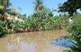 DELTA DEL MEKONG. Banani e palme sulle sponde di questo canale