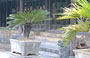 CROCIERA SUL FIUME DEI PROFUMI. Tomba di Tu Duc: particolare del tempio/palazzo di Hoa Khiem 
