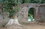 VIETNAM CENTRALE. Tomba di Minh Mang: oltre l'arco del muro in pietra si intravede  lo stagno e la vegetazione