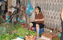 HANOI. Ancora verdure 