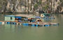 BAIA DI HALONG. Abitazioni marine nei pressi di Hang Sung Sot