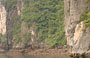 BAIA DI HALONG. Sito naturalistico Patrimonio dell'Umanità