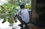 HOA LU. Tempio Le Dai Hanh (Duong Van Nga): un vietnamita aspetta con pazienza che i pesci dello stagno abbocchino al lamo